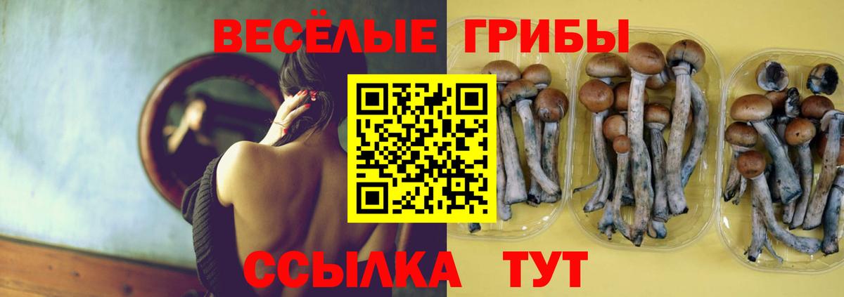 Луга  Галлюциногенные грибы ЛСД  Псилоцибиновые грибы Psilocybe  Вход с VPN 